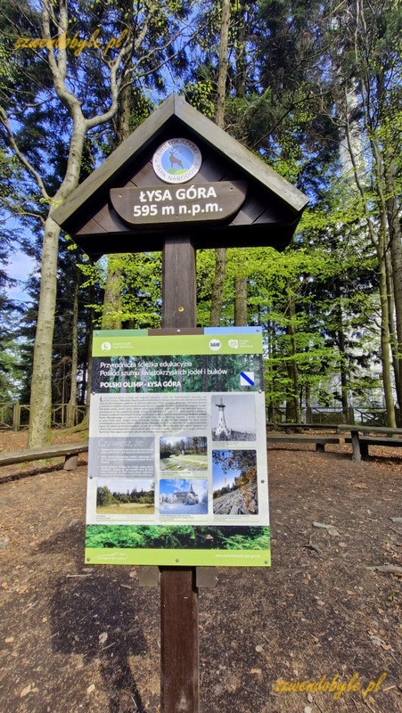 Góry Świętokrzyskie - Łysa Góra. Tablica informacyjna podająca wysokość 595 m n.p.m. 20250421_143316-ink