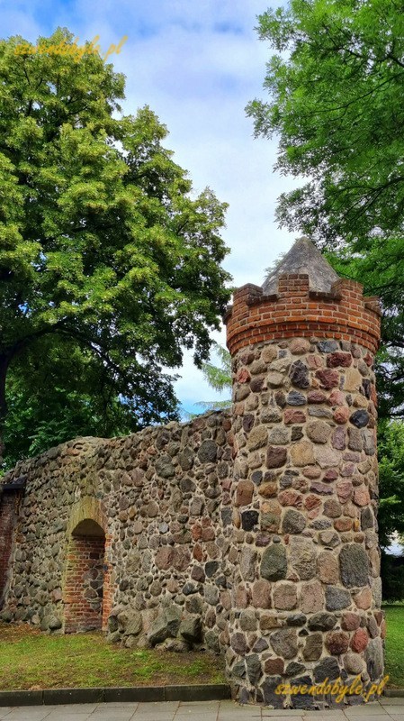 Trzcińsko-Zdrój, fragment murów miejskich i baszta. 20240625_155346-ink