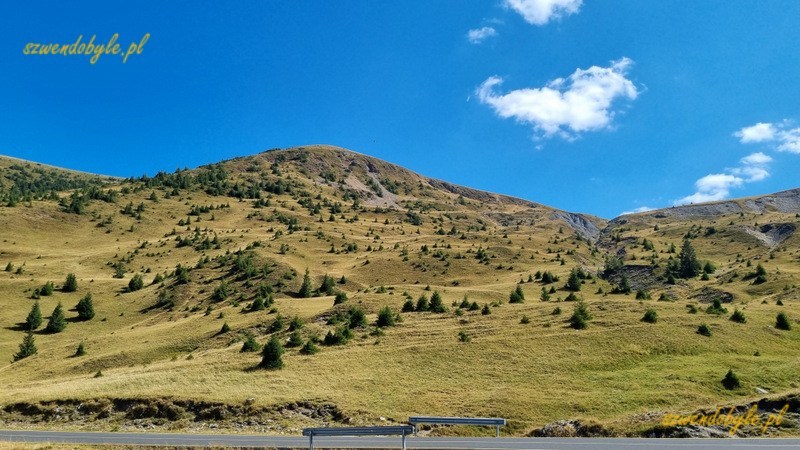 Rumunia, Transalpina. Widok z drogi na pagórki,na których jeszcze są rzadkie drzewa. 20240908_123320-ink