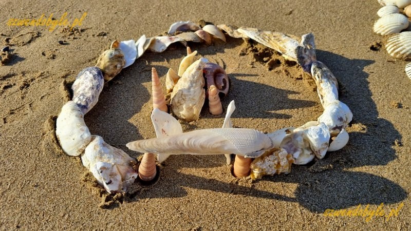 Wietnam, Cát Bà. "Zamek" na plaży ułożony z muszli. 20251123_151955-ink