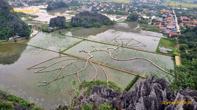 Wietnam, region Ninh Binh. Widok z g&oacute;ry na zbiorniki wodne, w kt&oacute;rych w sezonie kwitną lotosy. Drewniane pomosty na wodzie układają się we wz&oacute;r kwiatu lotosu. 20251111_105500-ink