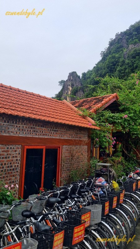 Tam Coc, Vietnam. Wypożyczalnia rower&oacute;w. 20251110_165959-ink