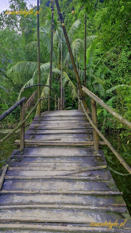 Tam Coc, Vietnam. Bambusowy łukowaty mostek nad potokiem, całość na terenie opuszczonego ośrodka wczasowego. 20251111_154043-ink